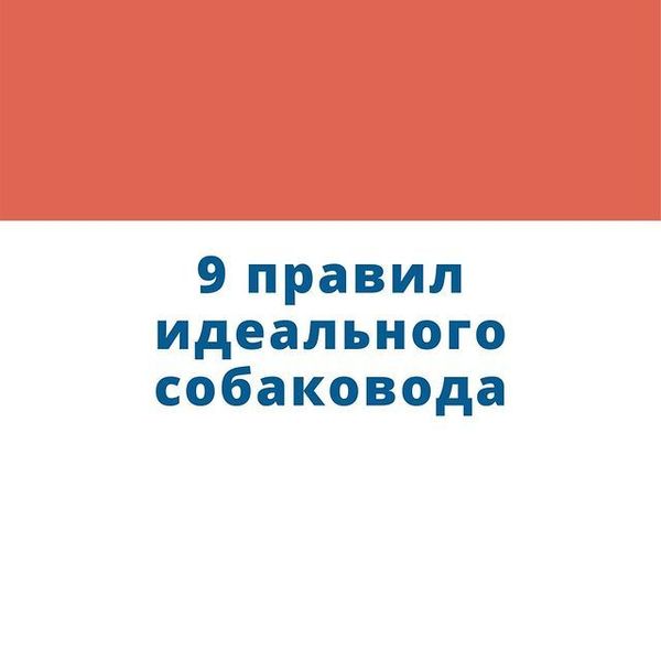 9 правил идеального собаковода