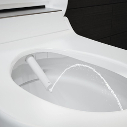 Унитаз подвесной с крышкой биде GEBERIT AquaClean Tuma Comfort 146.294.FW.1 (панель нерж. сталь)