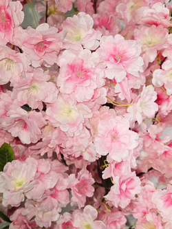 Сакура искусственная 110см розовая в кашпо