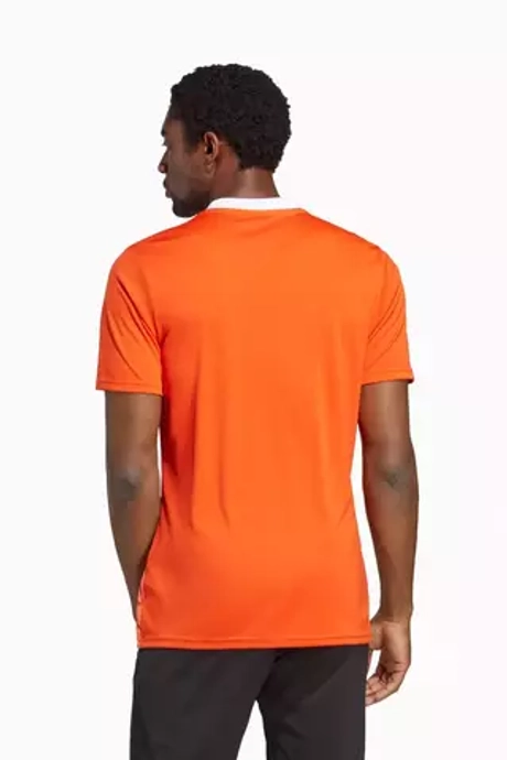 Футболка adidas Team Icon 23