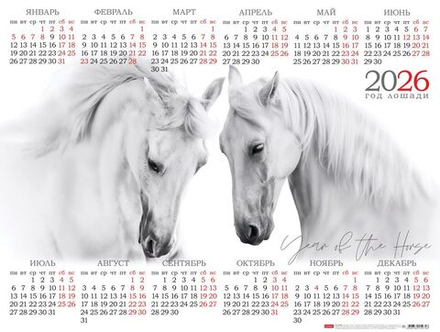 Календарь настенный листовой 598*450мм на 2026г. Год лошади. Парочка