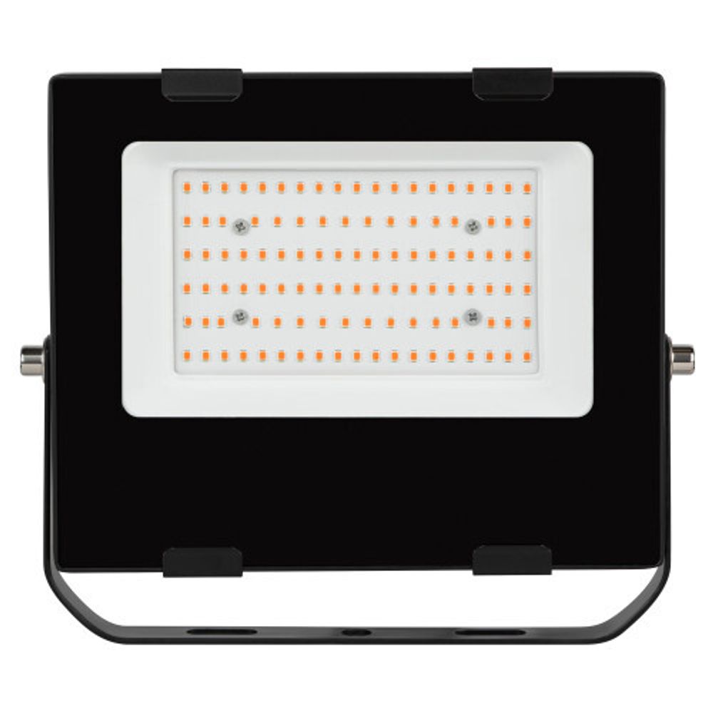 Фитопрожектор для растений светодиодный ЭРА FITO-50W-RB-LED для цветения и плодоношения красно-синего спектра 50 Вт