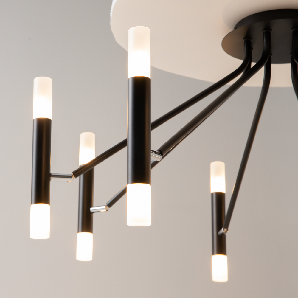 Потолочный светильник Maytoni MOD620CL-16B