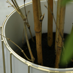 Искусственный бамбук 210 см.