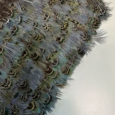 Перья фазана на ленте. Длина пера 4-5см. коричневато-серых тонах с переливами. Стоимость за сантиметр. Продажа кратна 10см