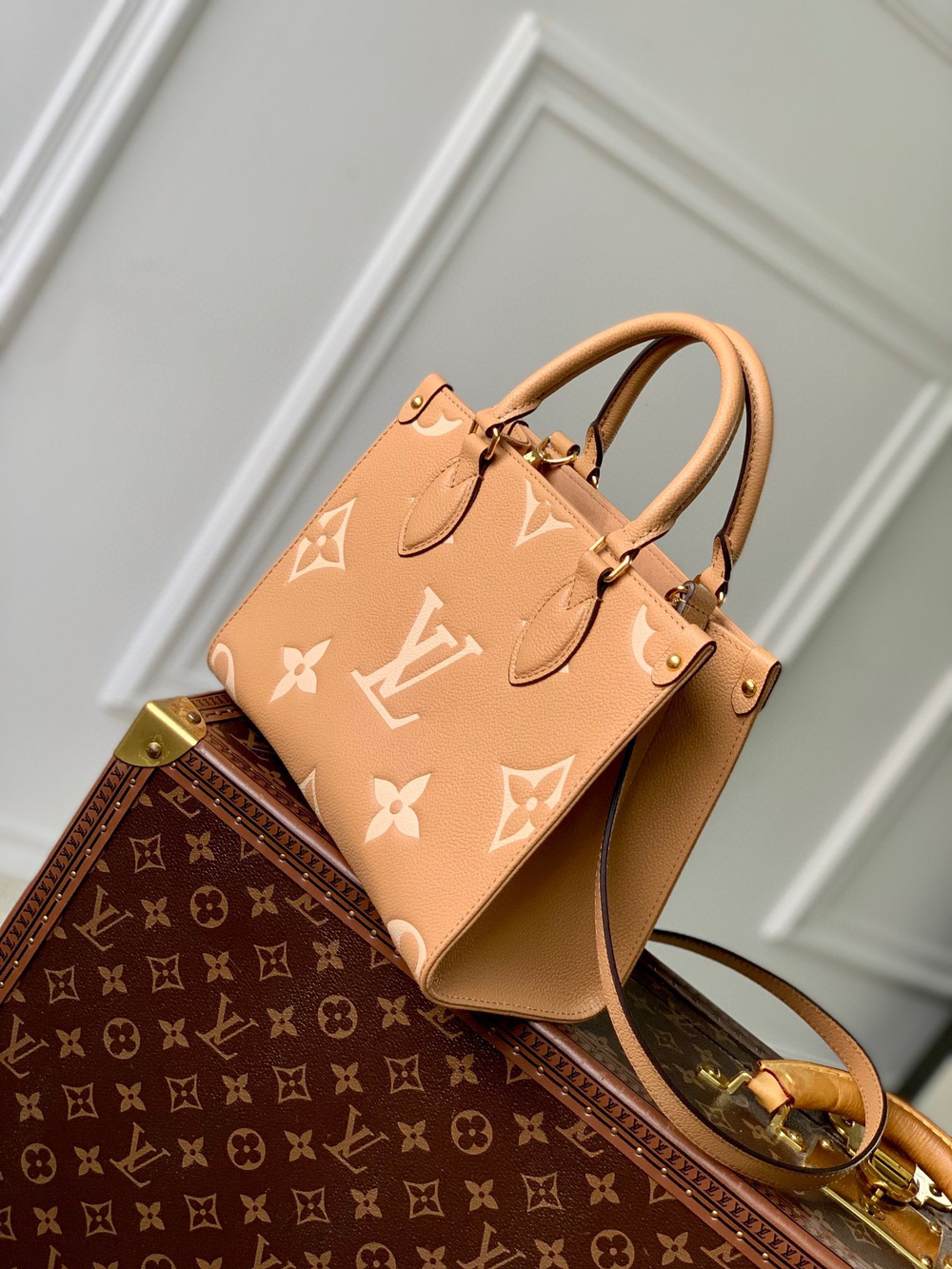 Louis Vuitton OnTheGo PM