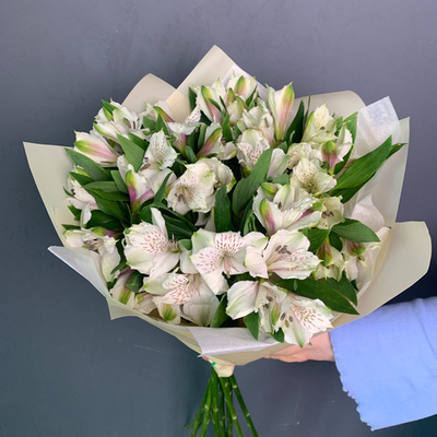 Букет 9 белых альстромерий