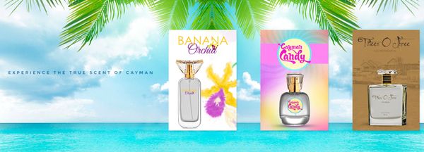 Ted Green Cayman Islands Banana Orchid