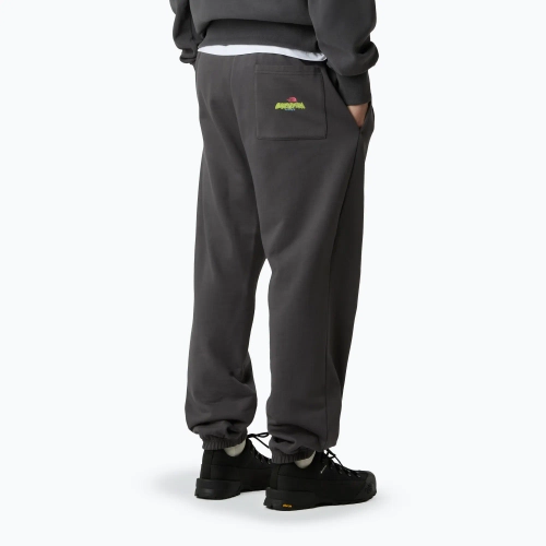 Штаны The North Face Expedition Celebration Relaxed Jogger Reg серые