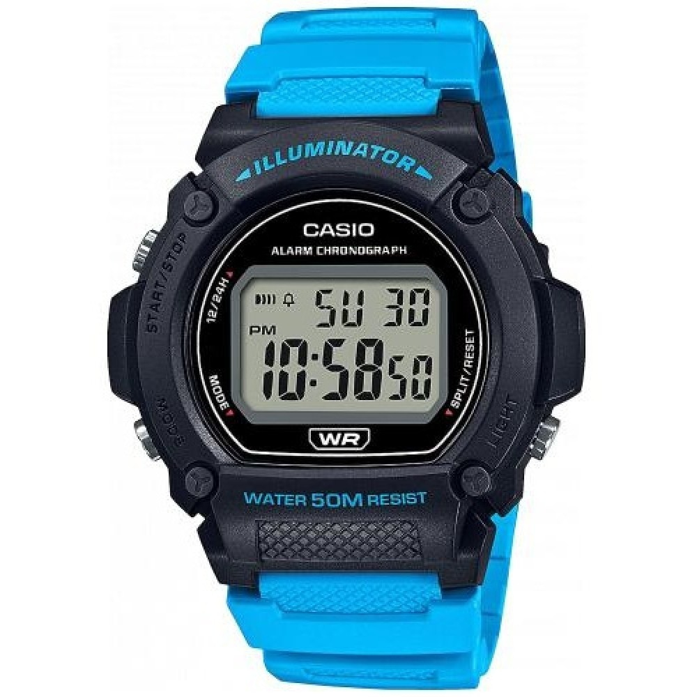 Часы CASIO W-219H-2A2