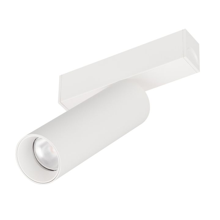 Трековый светильник Arlight MAG-SPOT-25-R120-12W Day4000 (WH, 30 deg, 24V) 050076