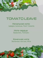 Свеча TOMATO LEAVE