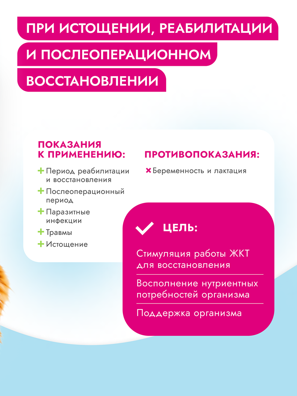 Консервы диета Best Dinner Vet Profi Recovery повышенной калорийности для кошек и собак при истощении и послеоперационном восстановлении 100 г