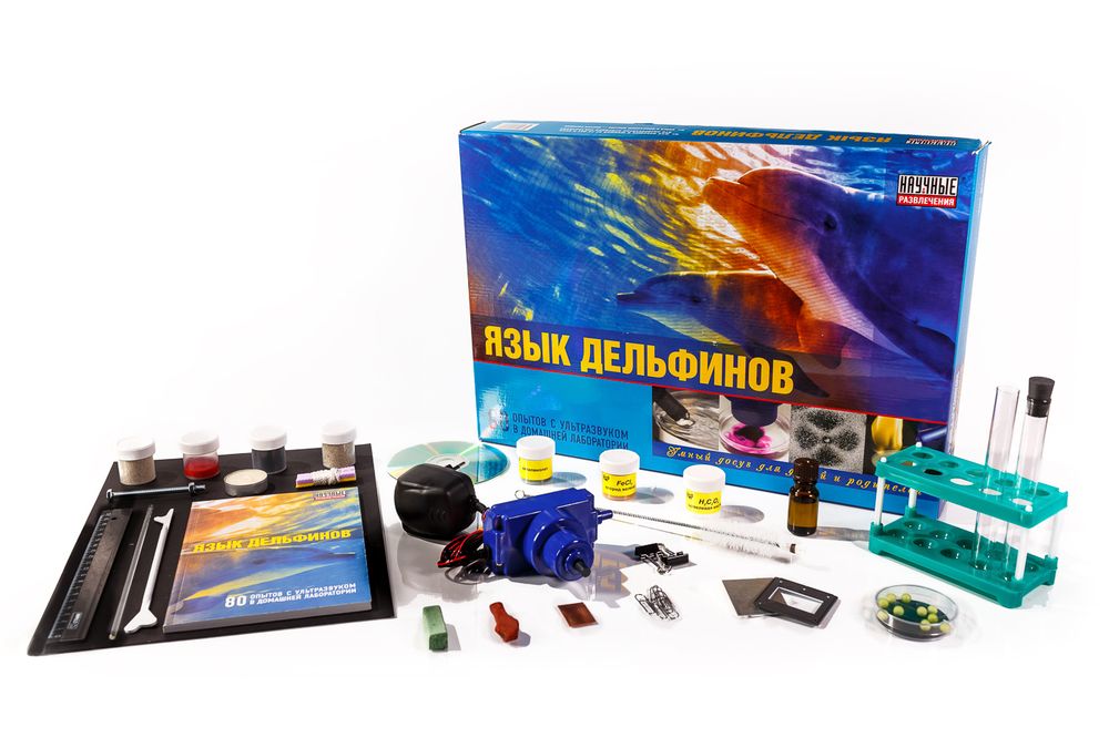 Язык Дельфинов