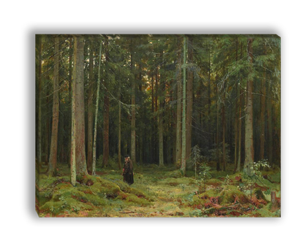 "В лесу графини Мордвиновой. Петергоф", Шишкин Иван Иванович, картина (репродукция)