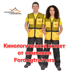 Жилет  кинологический для занятий и дрессировки собак Fordogtrainers