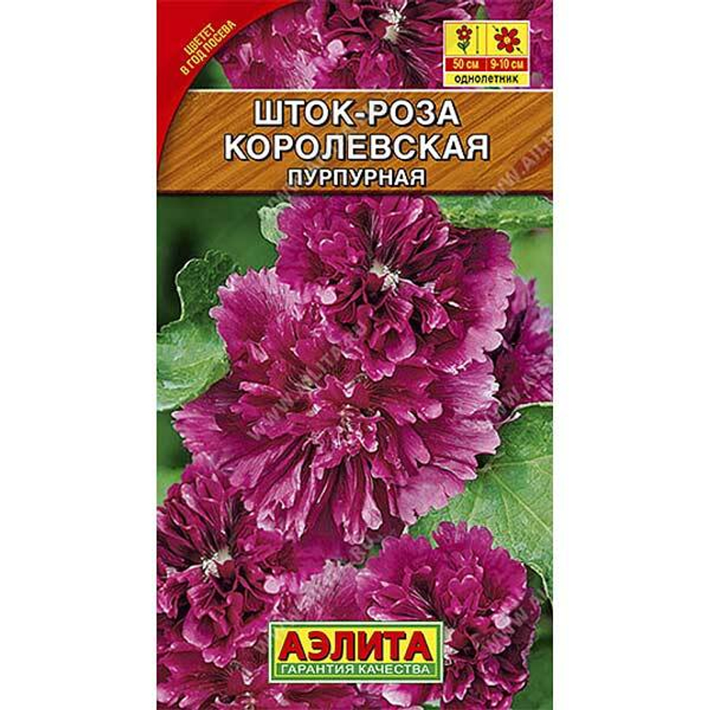 Шток-роза Королевская пурпурная 10шт.