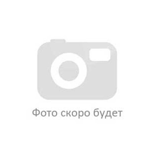 Флажок ВДВ «Никто кроме нас» на палочке 15x23 см