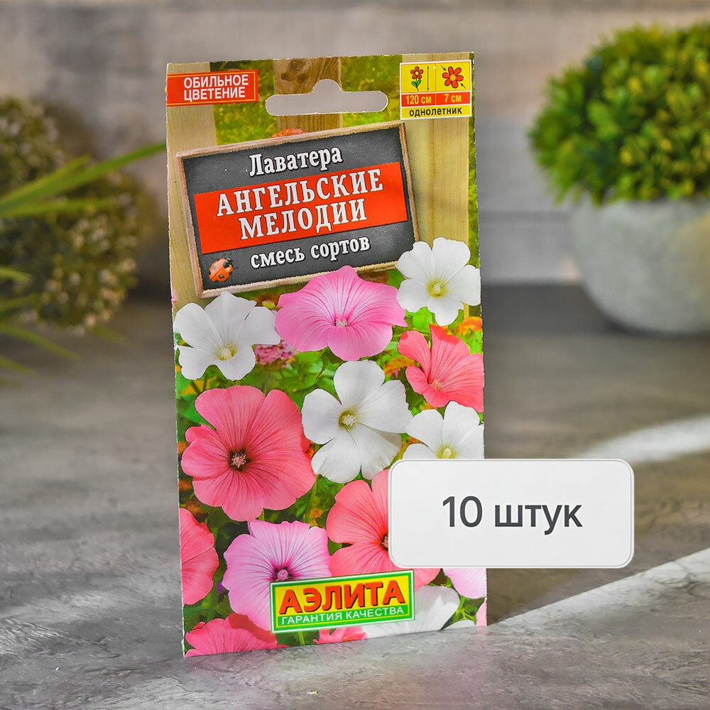 ЛАВАТЕРА Ангельские мелодии Аэлита Ц (10шт)