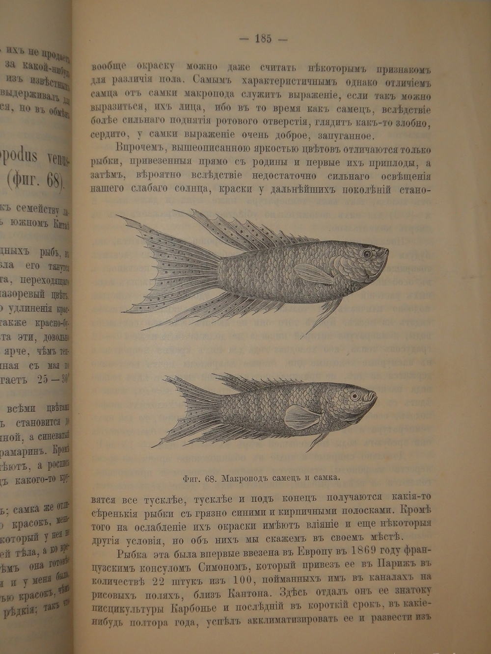 "Аквариум любителя. Подробное описание флоры и фауны аквариума, устройство аквариума, уход за ним и пр.". Н.Ф.Золотницкий. 1890г.