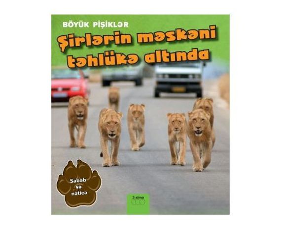 Şirlərin məskəni təhlükə altında