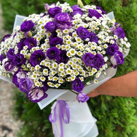 Ромашки с эустомами