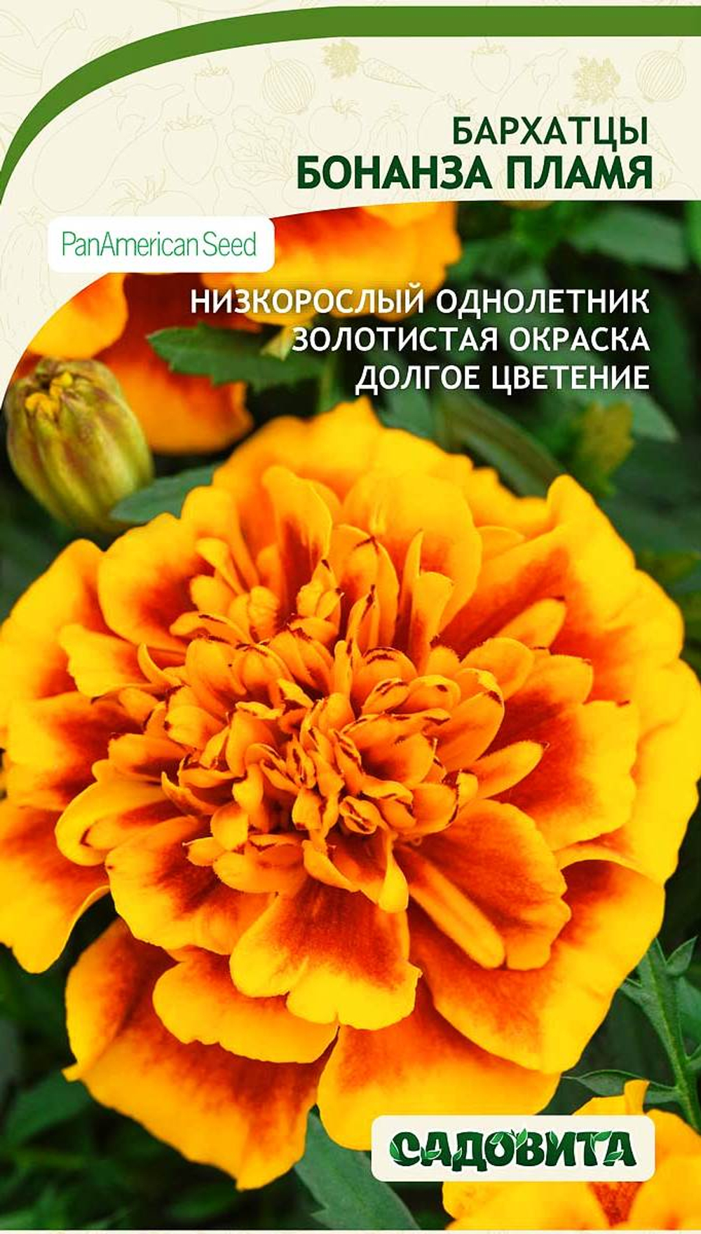 Бархатцы Бонанза Пламя 10шт PanAmerican/Садовита