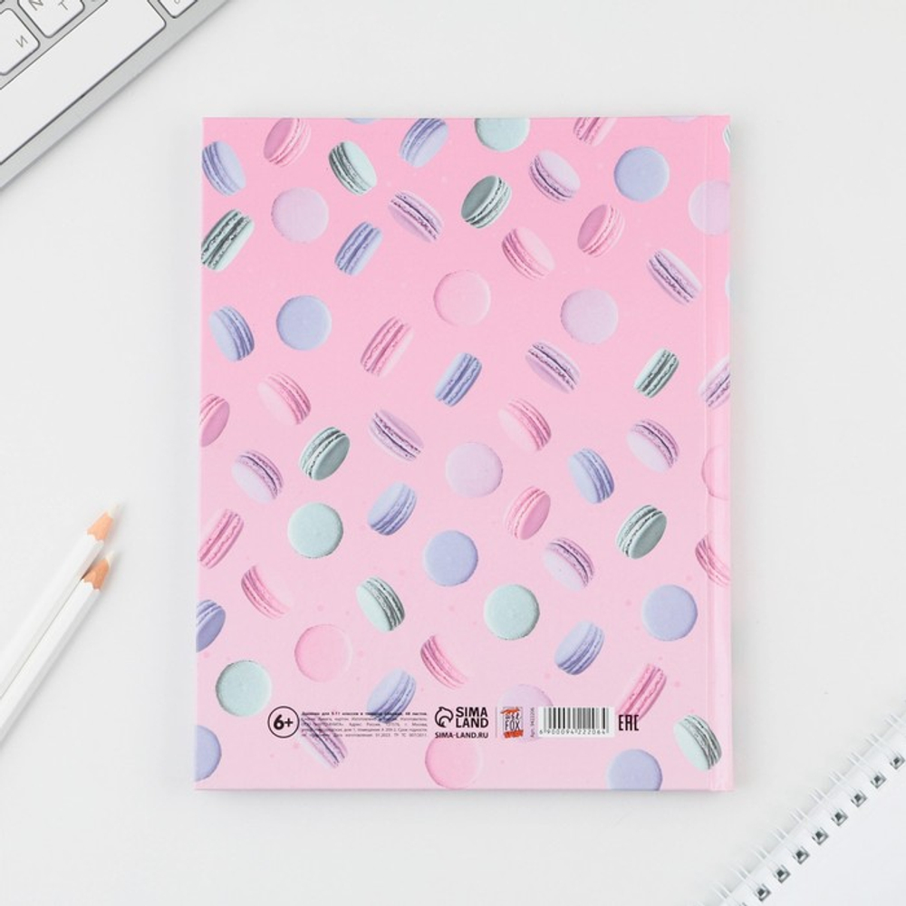 Дневник школьный 5-11 класс Macaroon, твердая обложка