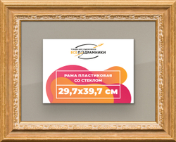 Рамка 29,7x39,7 для постера и фотографий