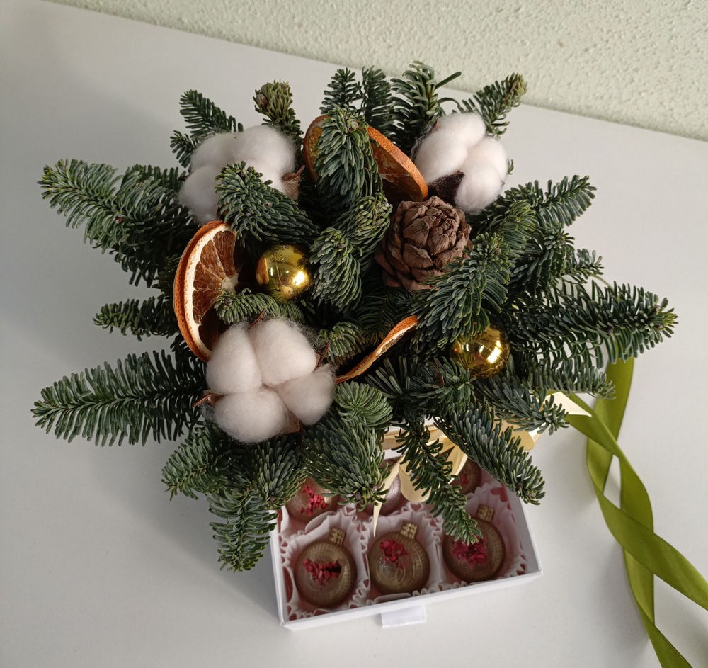 Шкатулка новогодняя  с нобилисом