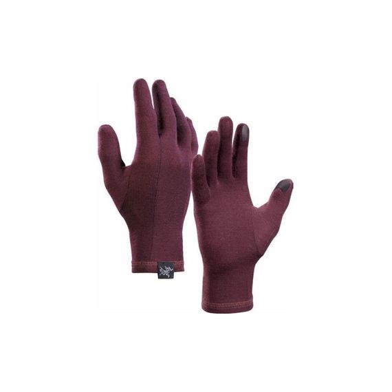 Arcteryx Gothic Glove