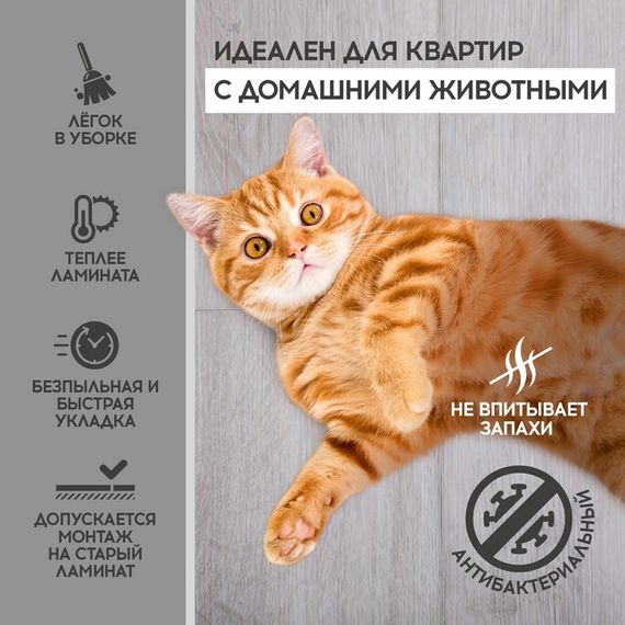 SPC ламинат I-Floors Chamfer 4v - Дуб Балатон