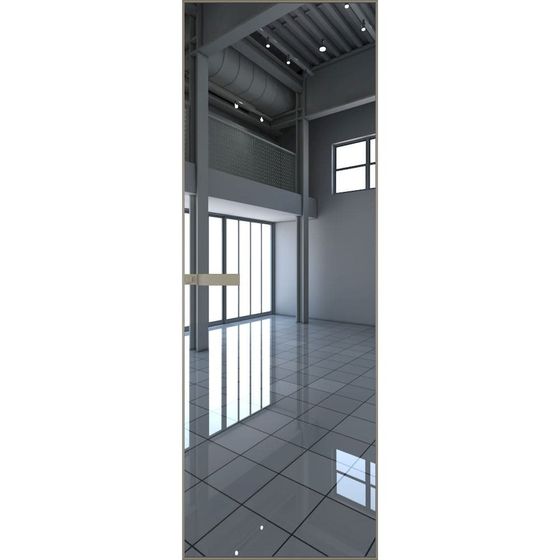 Скрытая алюминиевая дверь Invisible 1AGN зеркало