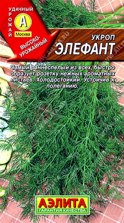 Укроп Элефант