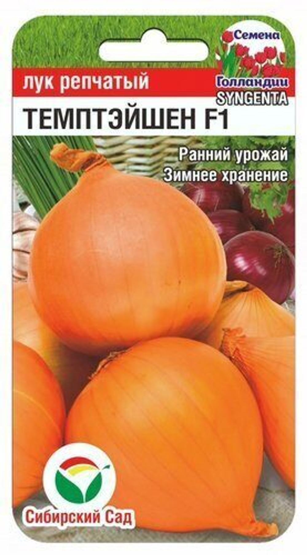 Лук репчатый Темптэйшн 100шт СибСад