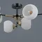 IL0469-6CSQ-24 BK AB LIBRA светильник потолочный
