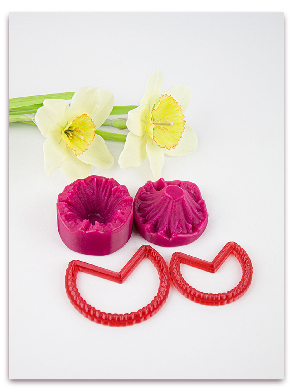 Комлект для лепки нарциссов