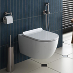 Унитаз подвесной безободковый с сиденьем Cezares MOLVENO CZR-2468-TH-R + CZR-2011-SC