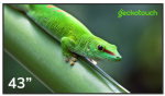 Панель Geckotouch 43DH