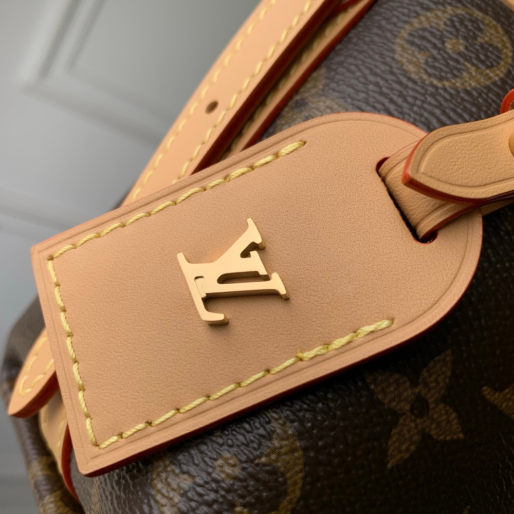 Louis Vuitton CarryAll Nano