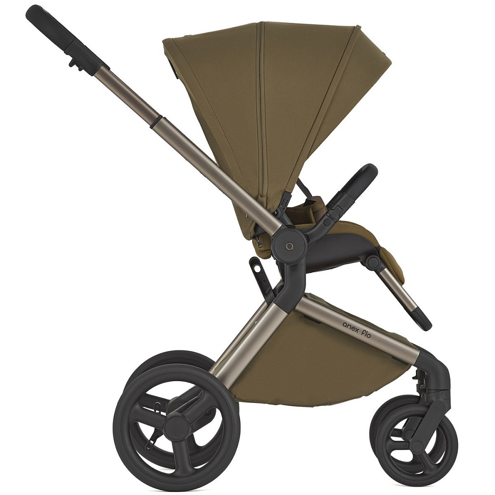 Детская коляска Anex Flo 2 в 1 Astra