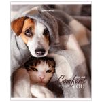 Тетрадь А5 48 л. BRAUBERG скоба, линия, обложка картон, "Питомцы", 404386, 5шт