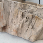 Раковина из окаменелого дерева FossilBasin OD-62405 51*35*15