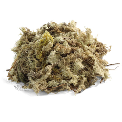 Субстрат "Мох сфагнум", 100г