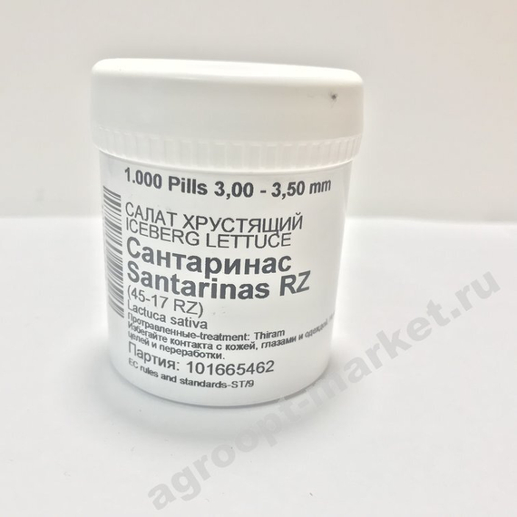 САНТАРИНАС семена салата айсберг (Rijk Zwaan / Alexagro) – фото 9