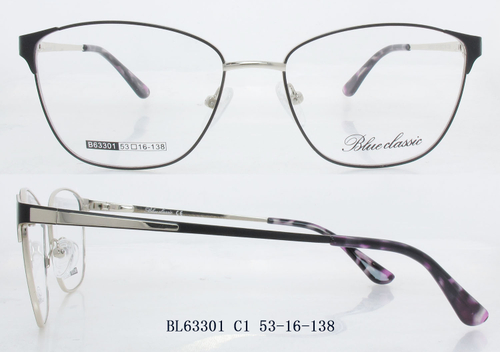 B63301