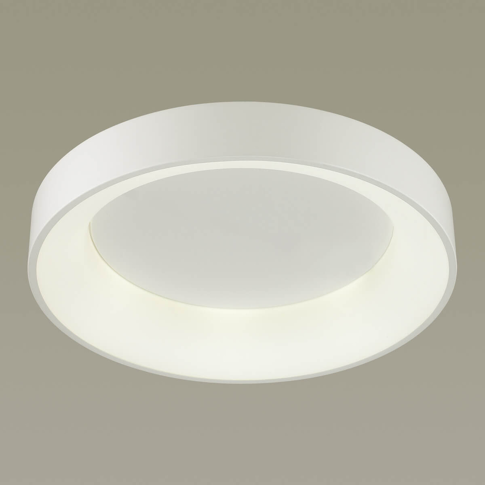 Светильник Odeon Light L-vision Sole 4066/40CL