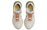 Кроссовки Nike React Infinity Run Flyknit 3 A.I.R. X Hola Lou