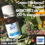 Эфирное масло Антистресс Юст Antistress Just 10 мл