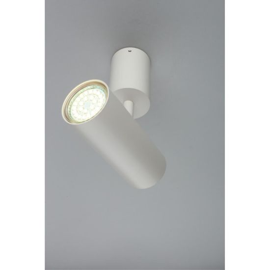 Светильник настенно-потолочный APL.007.02.01